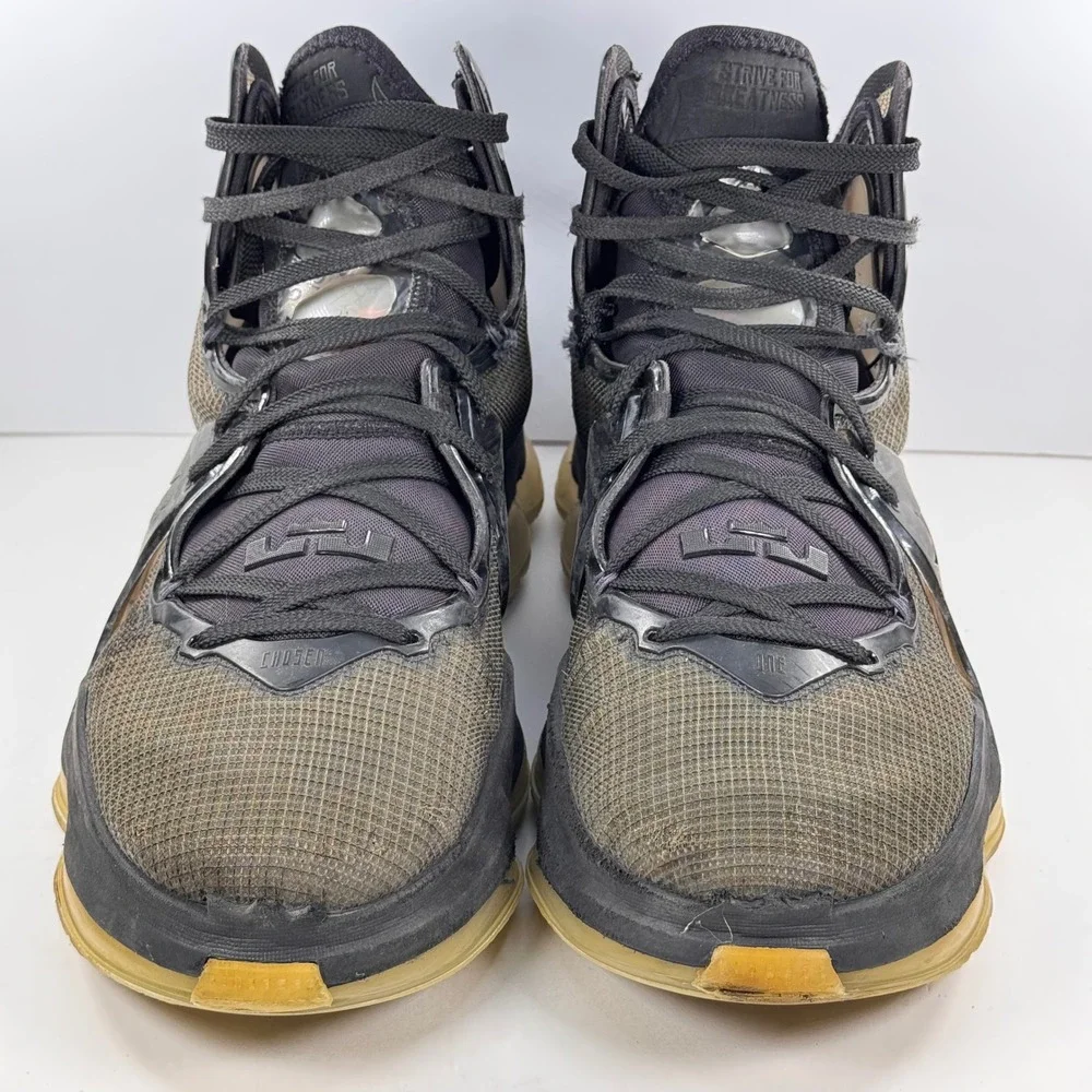 Nike LeBron 19 Black Anthracite Green Basketball Shoes CZ0203-003 Mens Size 13
